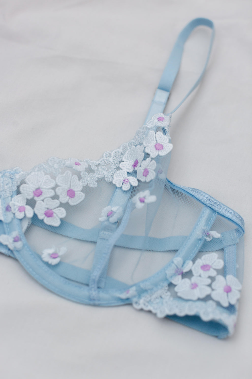 Daisy Blue