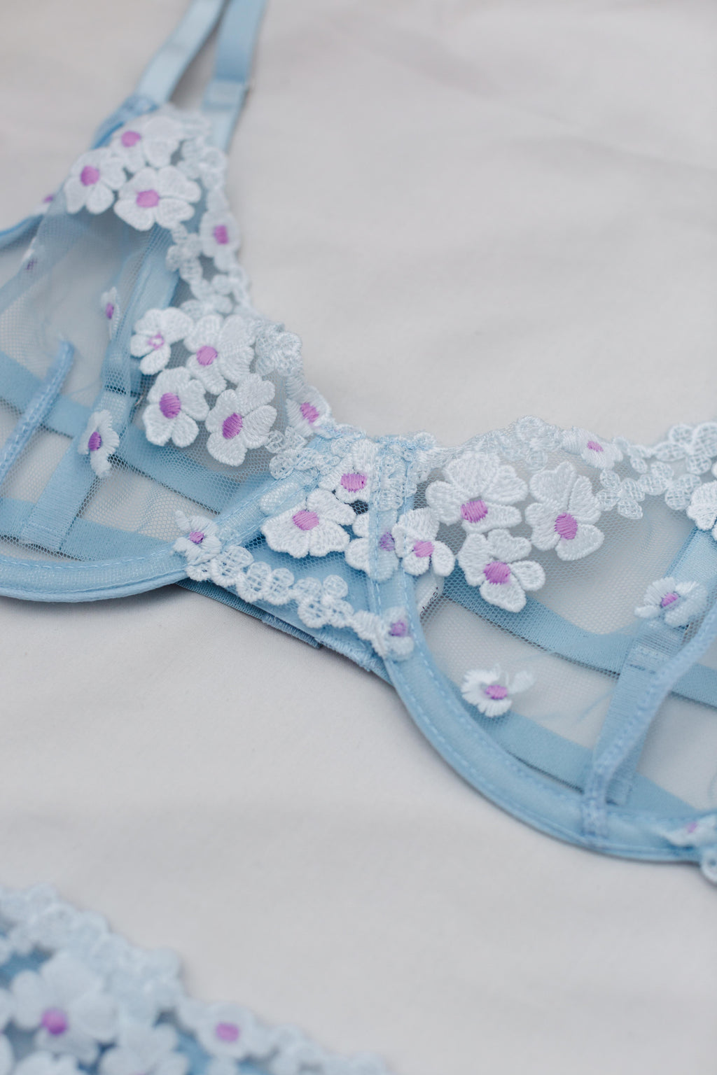 Daisy Blue
