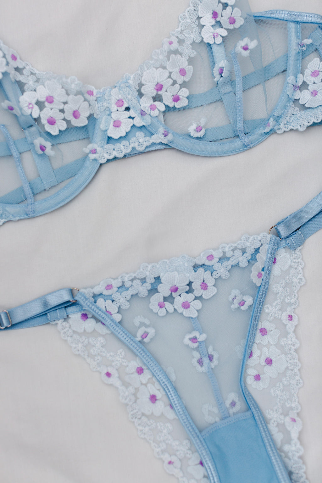 Daisy Blue